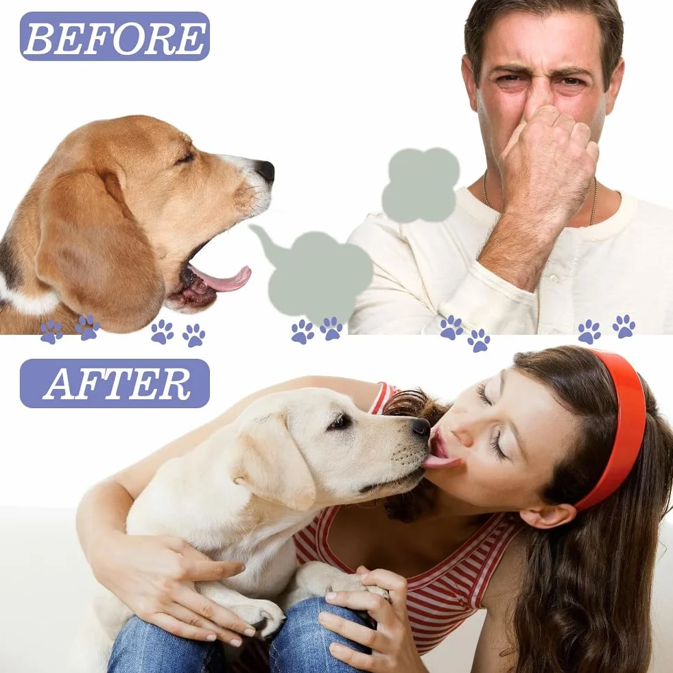 Spray nettoyant dentaire pour chiens et chats, soins bucco-dentaires animaux, élimination mauvaise haleine