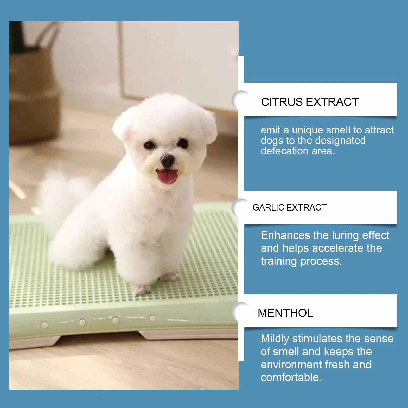 Spray Entraînement à la Propreté pour Chiens 50ML