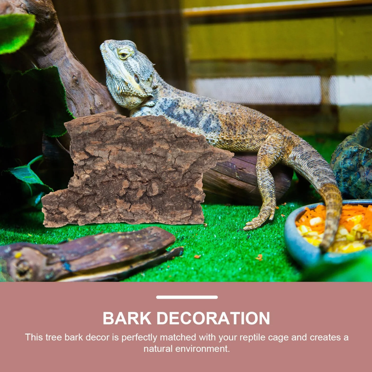Lot de 10 Plateformes en Écorce de Bois pour Reptiles Lézards Tortues Décor Naturel Terrarium