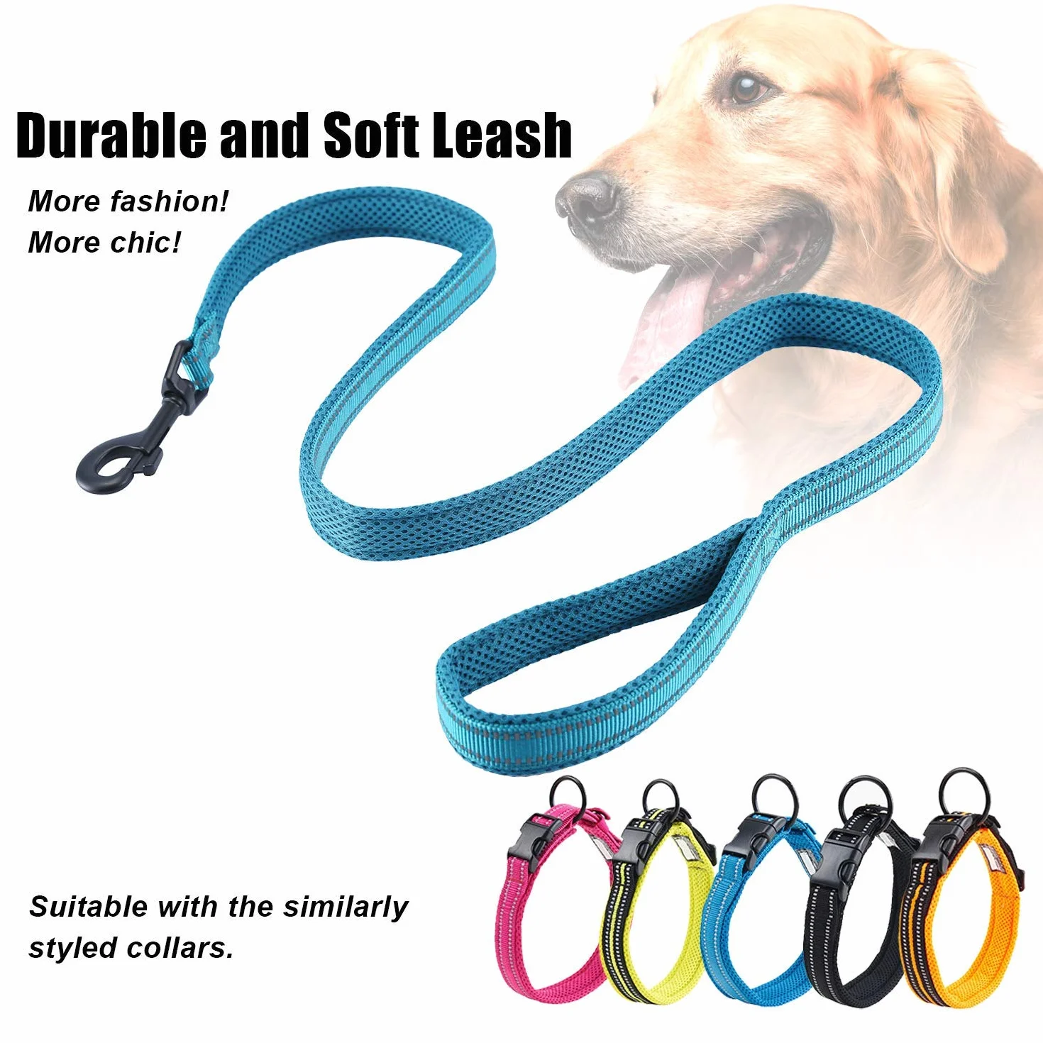 PETTOM Laisse pour Chien Dressage Grand Moyen Petit Poignée Rembourrée Réfléchissant Bleu 2m