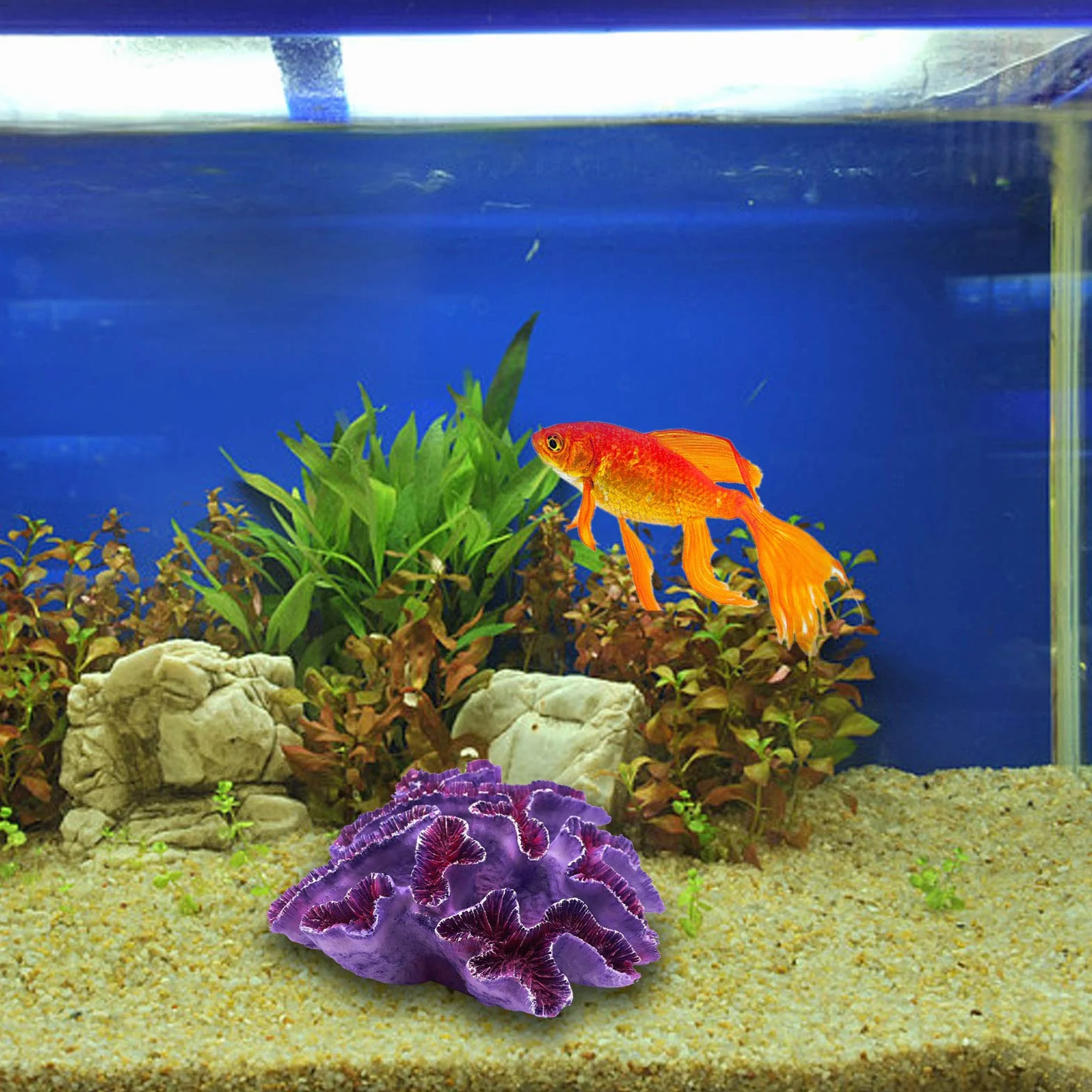 Besimple Ornements coralliens pour Aquarium Violet