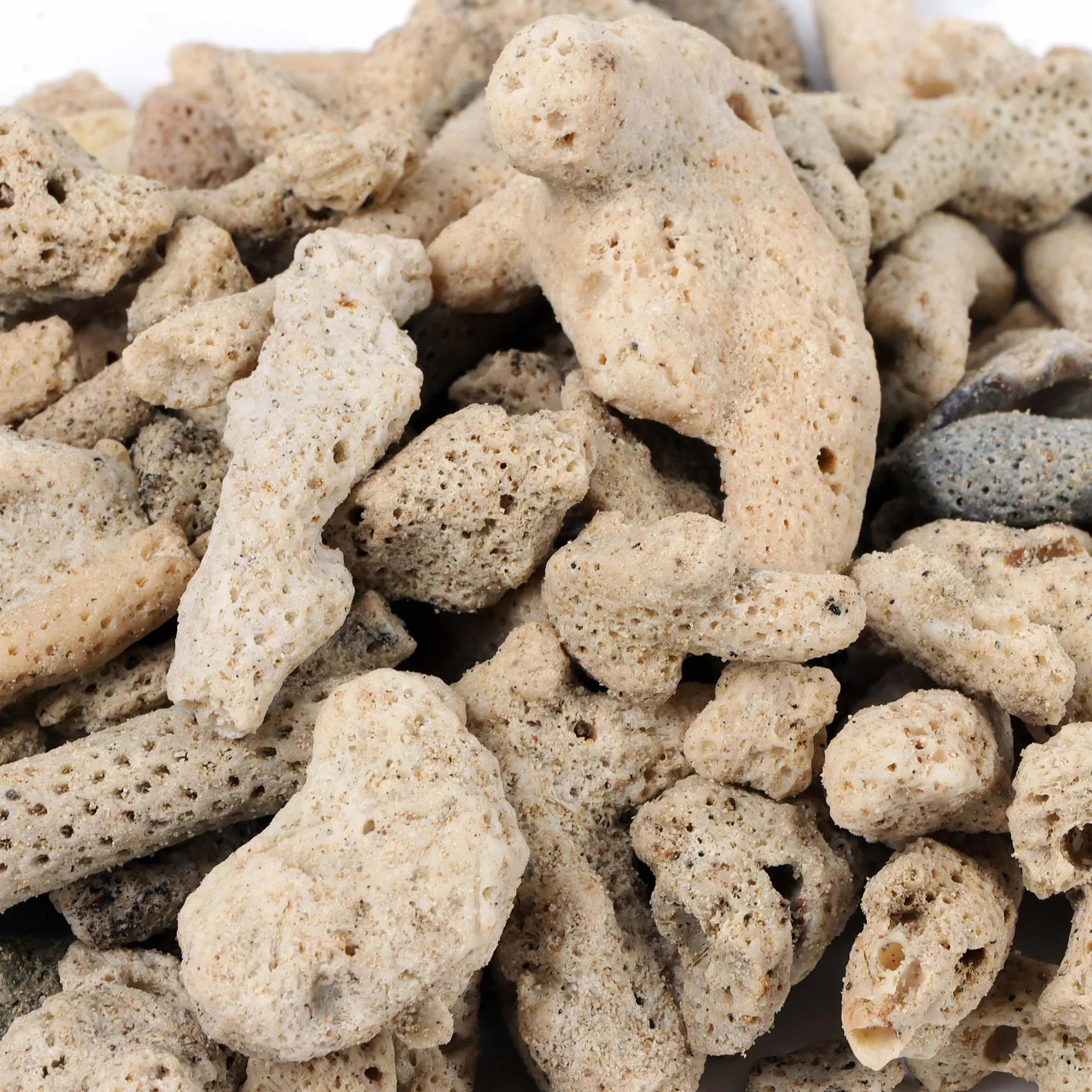 SunSun Sable corallien très Grossier 0,5 kg pour Colonisation de bactéries nitrifiantes Filtre bassins étangs Aquariums