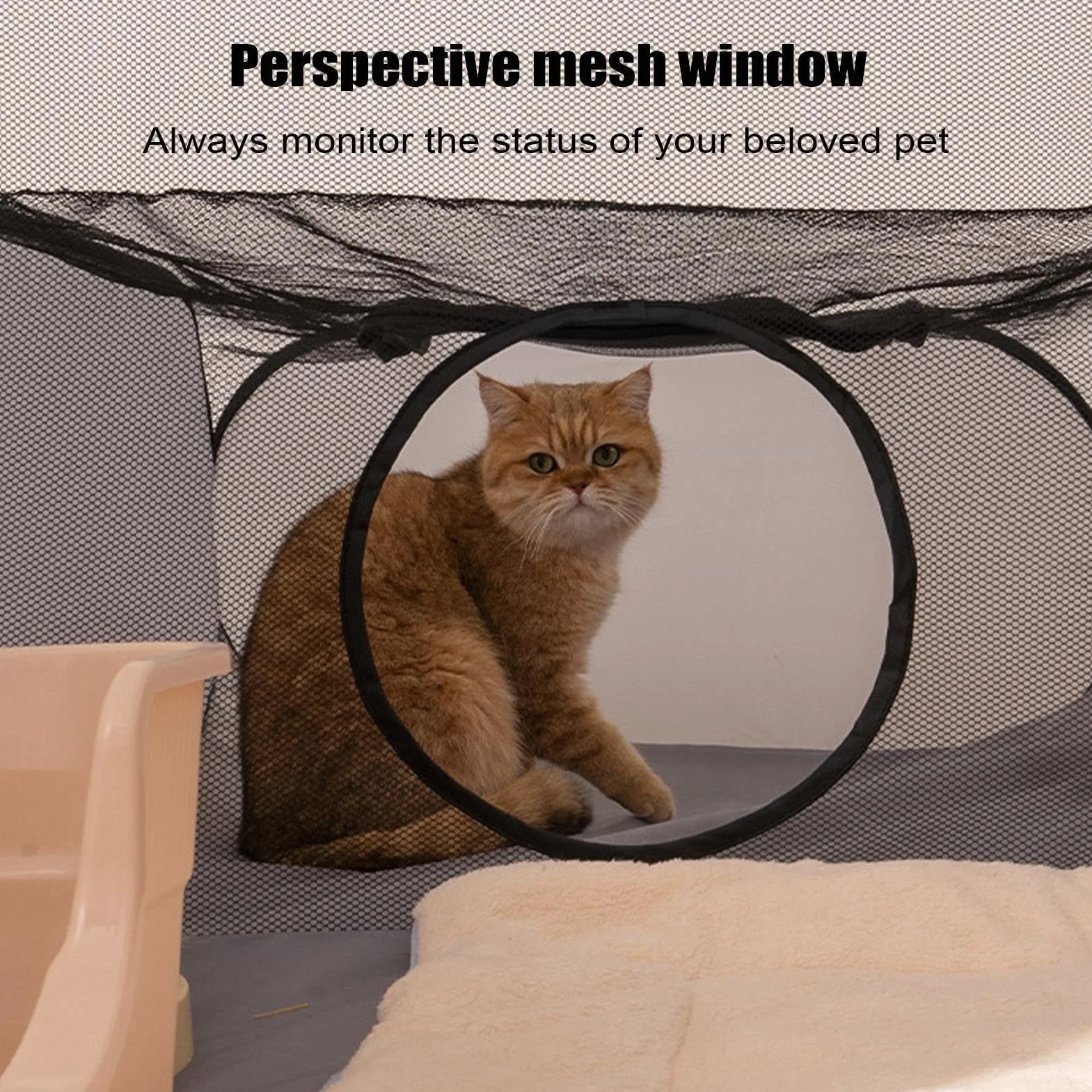 Parc Extérieur pour Chat avec Tunnel Circulaire et Clôture Pliable