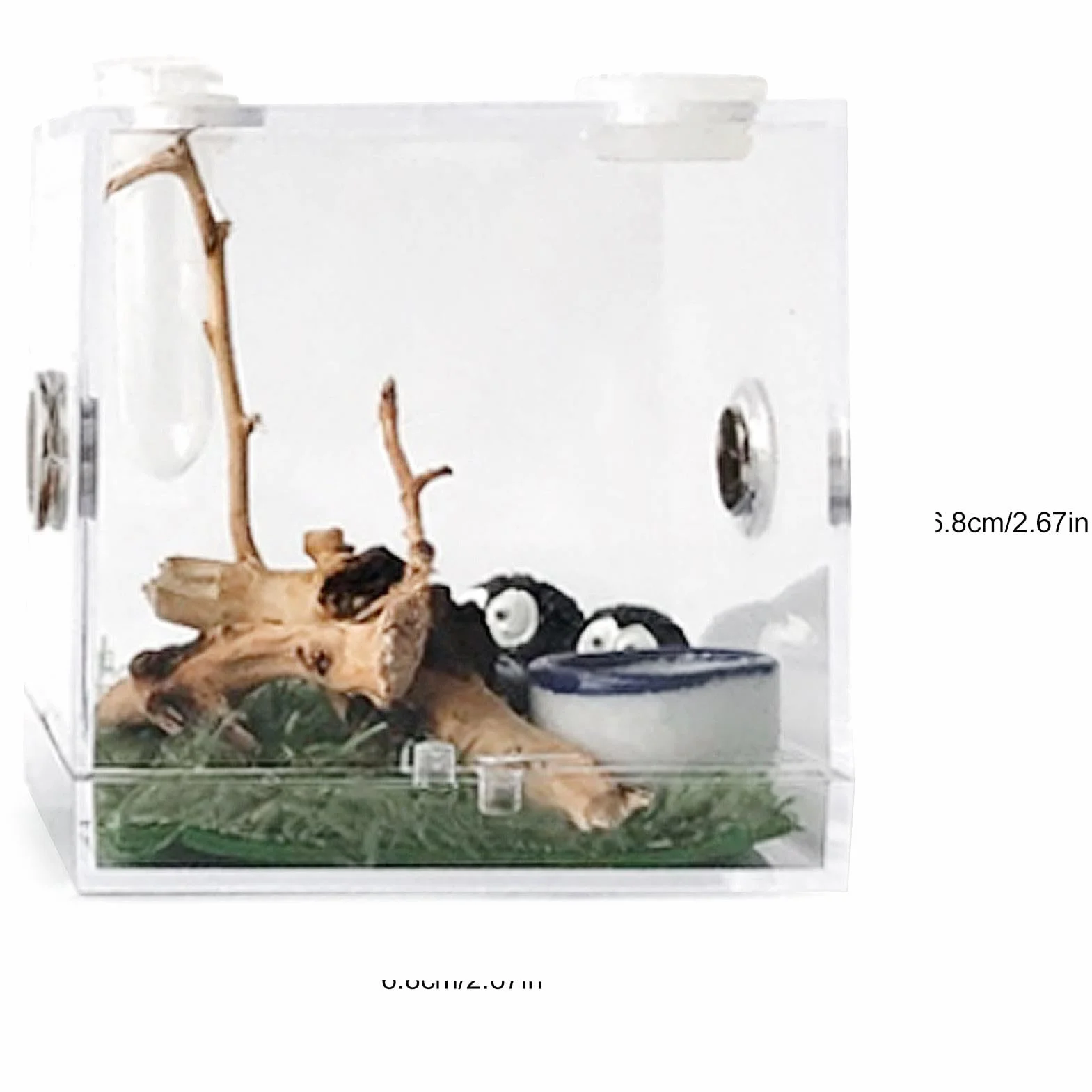 Terrarium acrylique pour araignée sauteuse avec motif d'alimentation, enclos pour reptile tarentule
