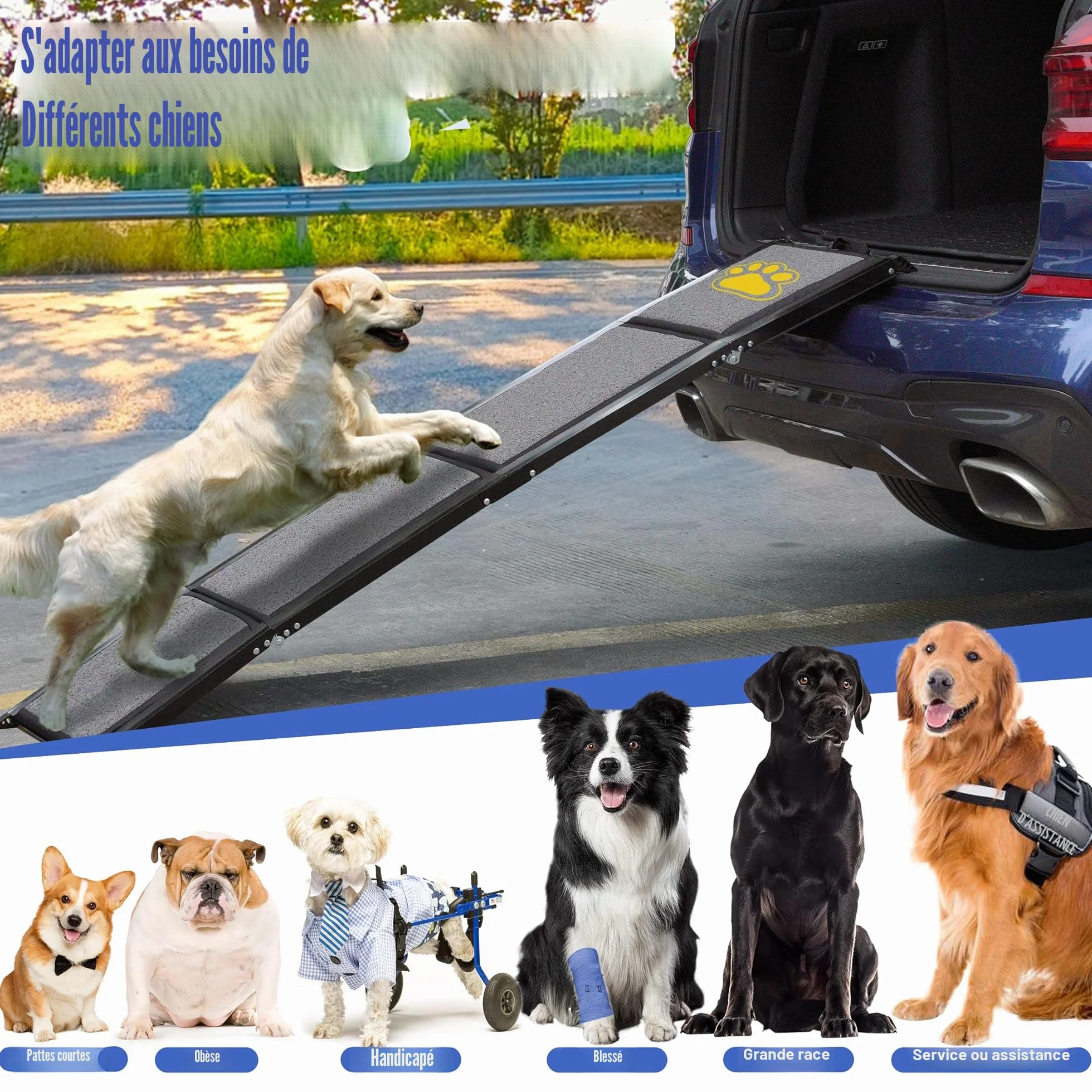 BACOENG Rampe pour Chien Pliable 180cm, Rampe Portable pour Grands Chiens avec Surface Antidérapante, Support 110kg pour Voiture Camion SUV