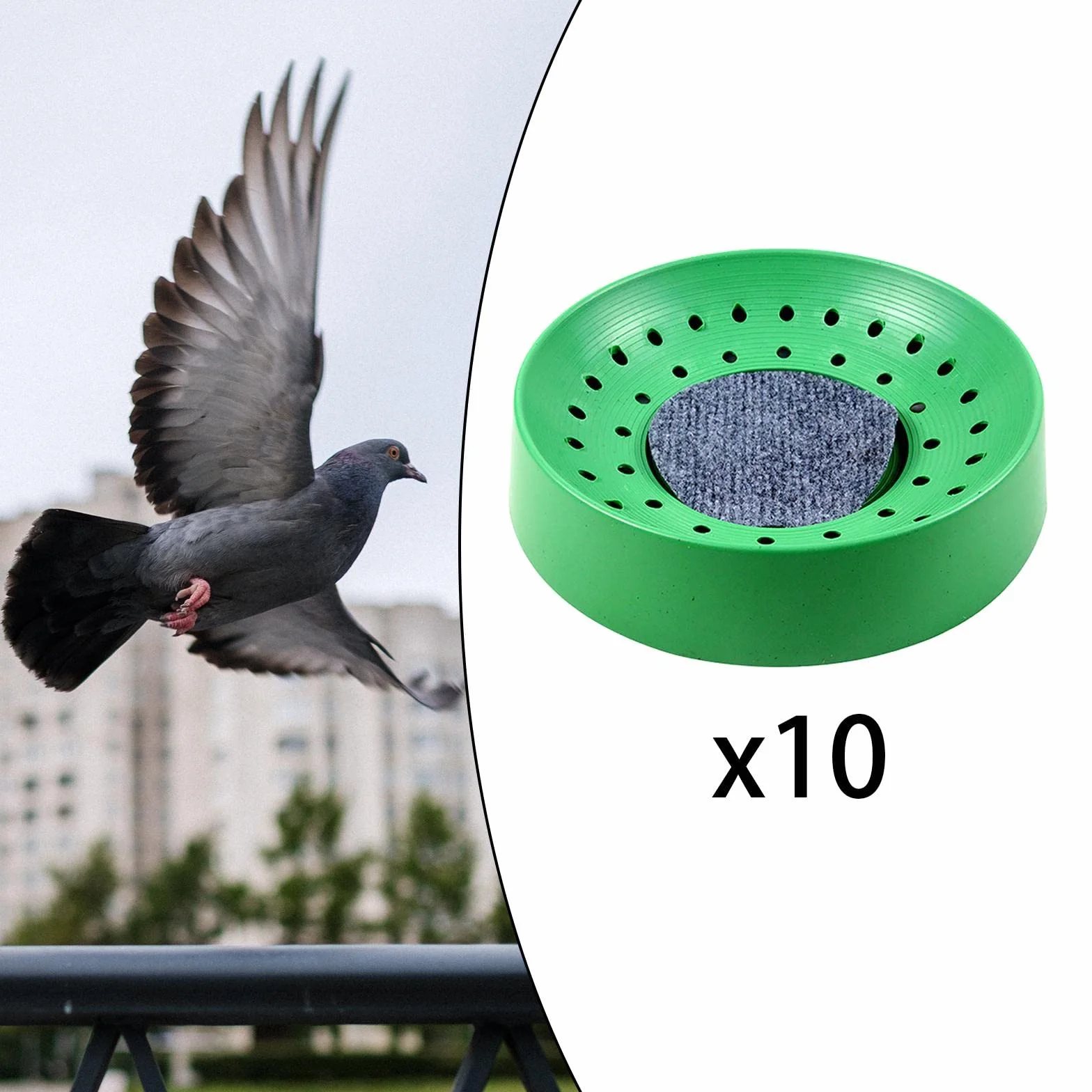 Nid Pigeon Plastique 10 Pièces Fournitures Élevage