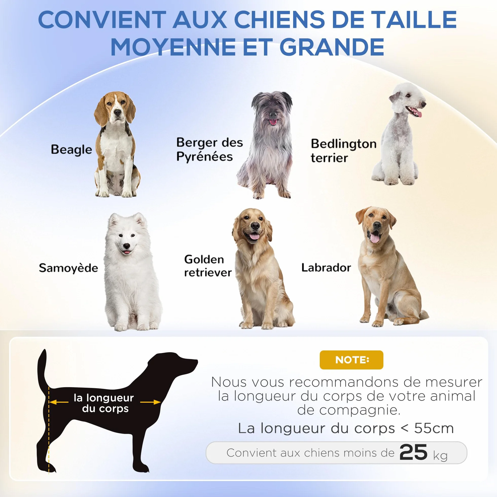 PawHut Canapé pour Chien surélevé 101,5 x 62 x 34,5 cm Coussin déhoussable Pieds Acier Velours Blanc crème Noir
