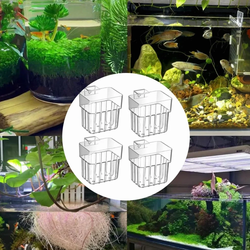 Lot de 4 supports de plantes d'aquarium en PP transparent, suspendu avec trous de circulation