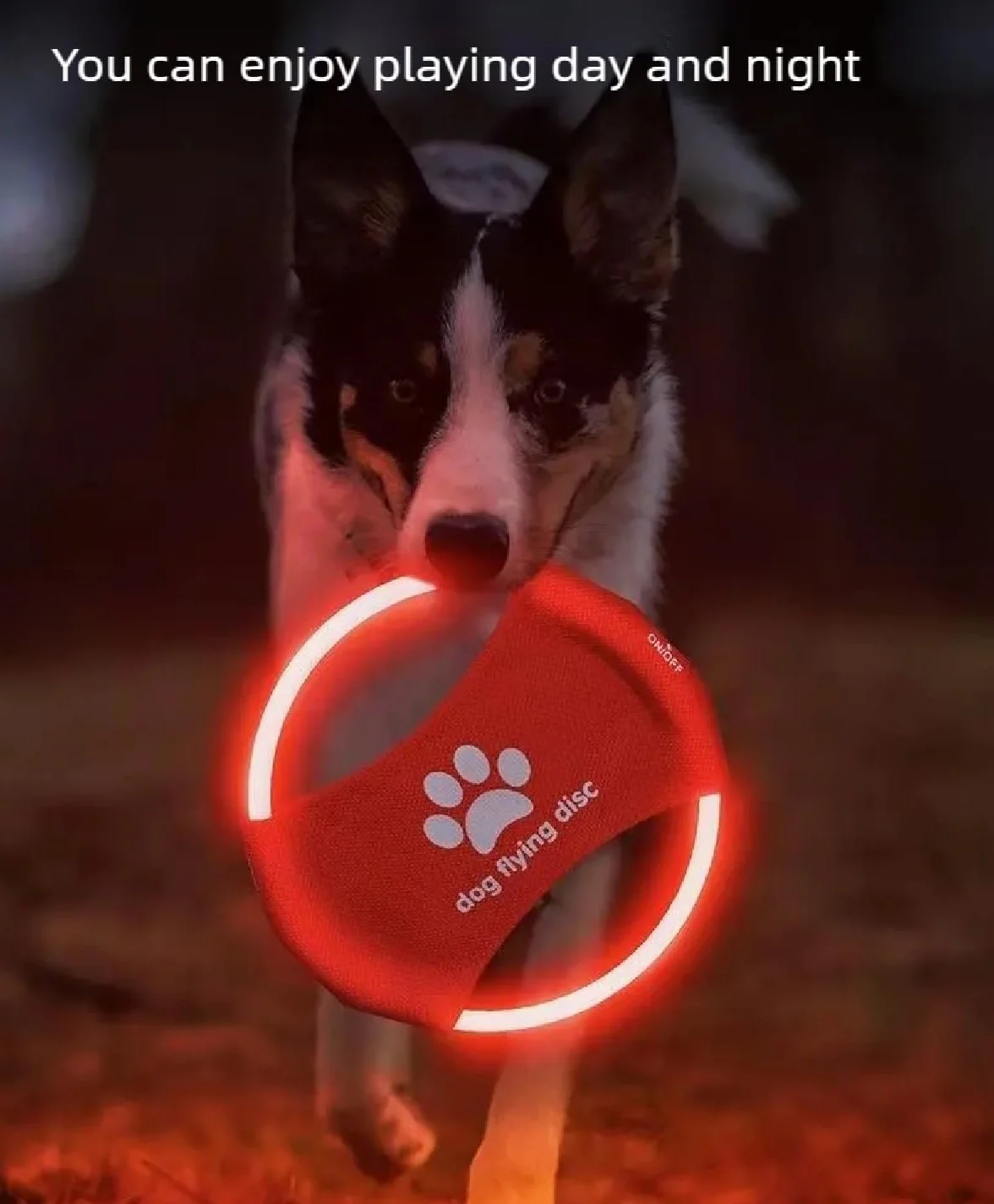 Lot de 2 frisbee lumineux LED pour chien, TPU non toxique, caoutchouc souple résistant aux morsures, rechargeable