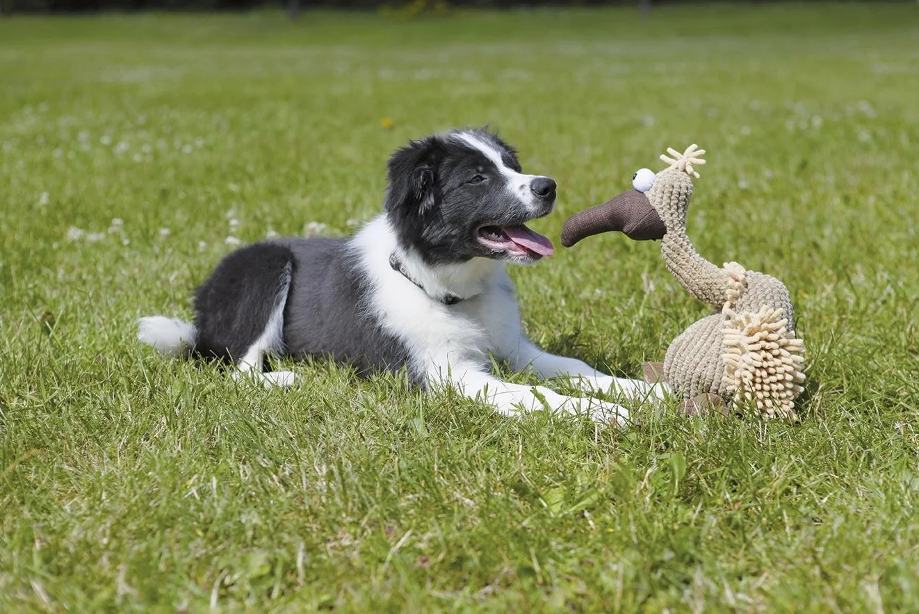 TRIXIE Gustav peluche pour chien avec couineur 28 cm lavable en machine