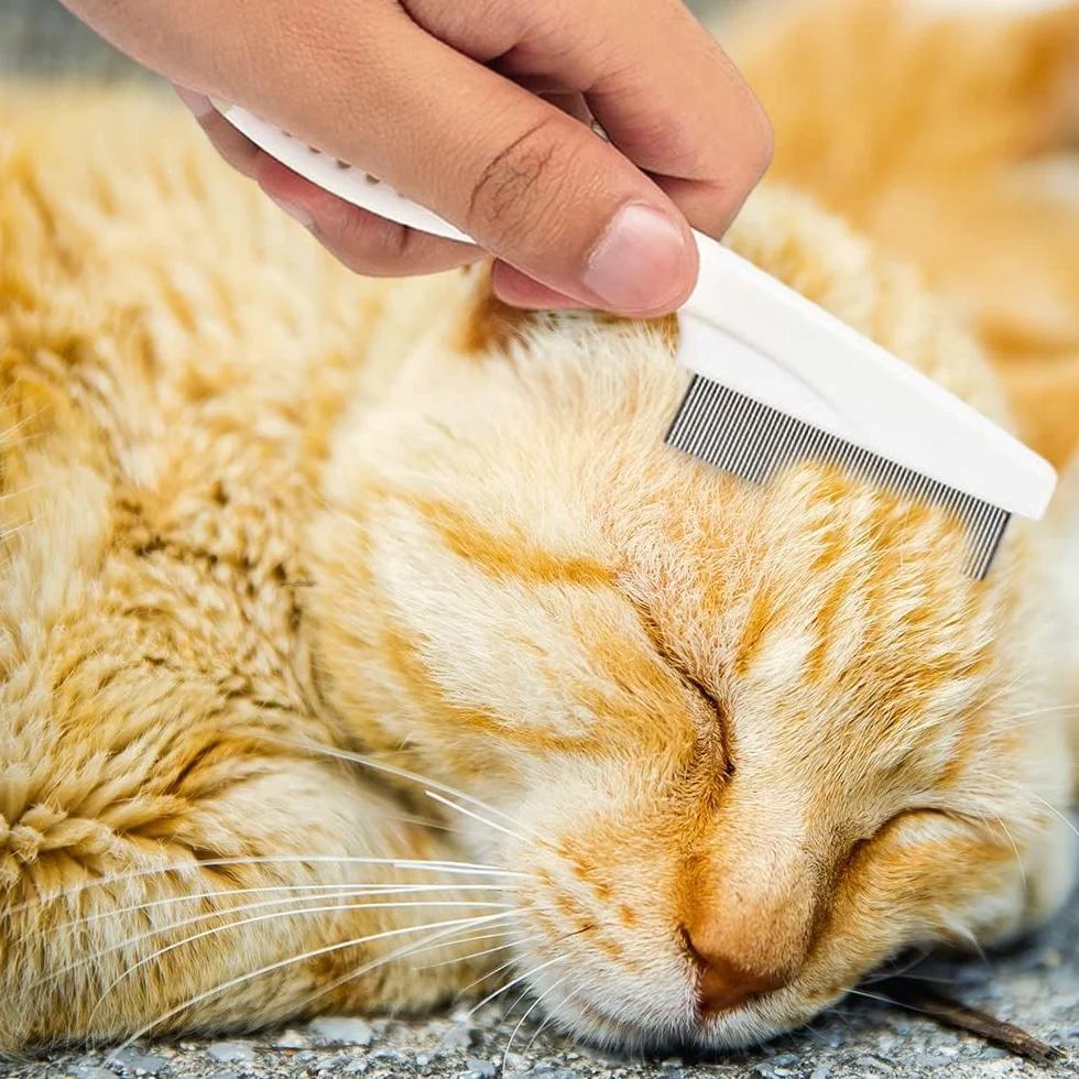 EHOTER Brosse De Toilettage Peigne à Poux pour Chats et Chiens 2pces (Blanc)