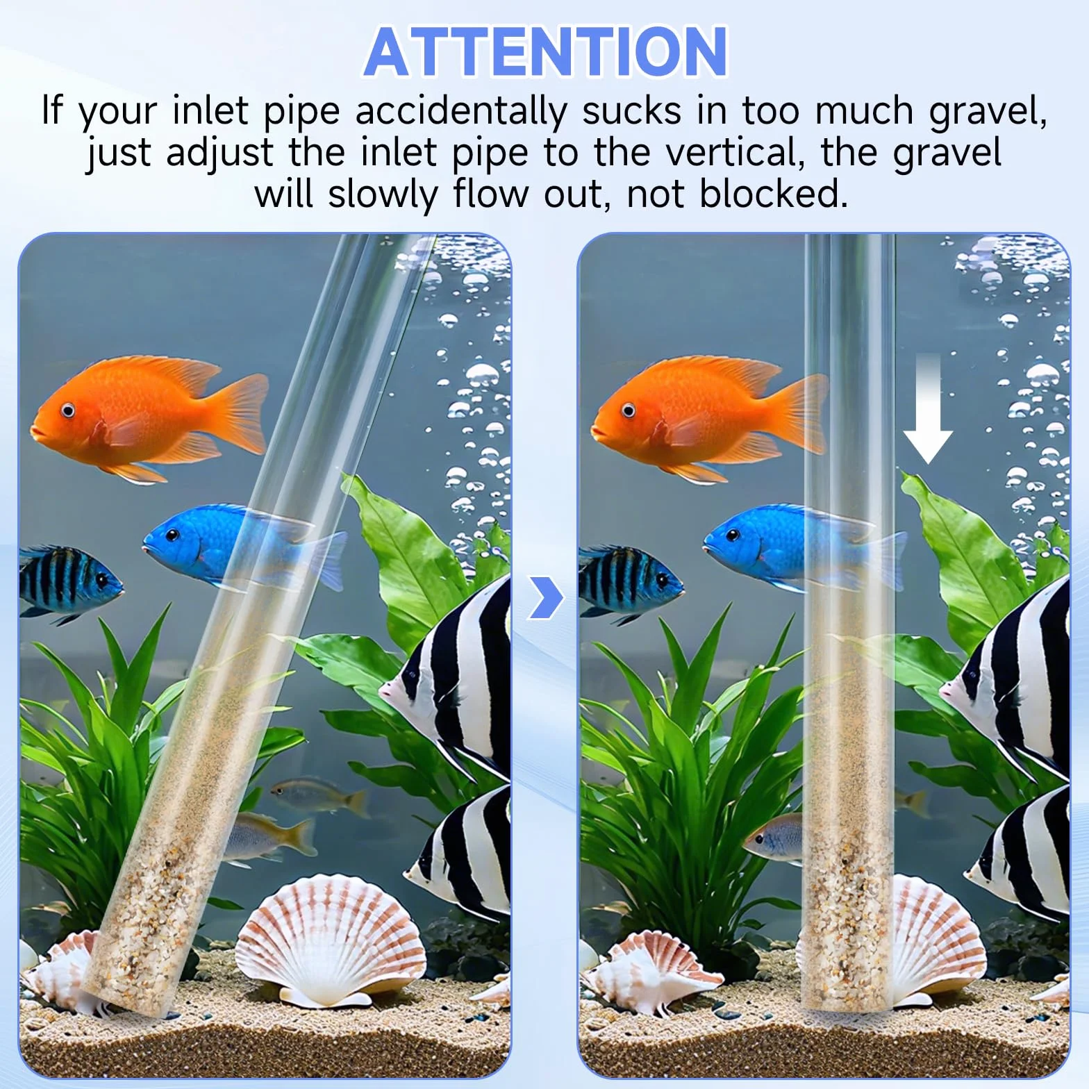 Aspirateur de Gravier réglable pour Aquarium, Siphon, Changeur d'Eau Manuel, Kit de Nettoyage