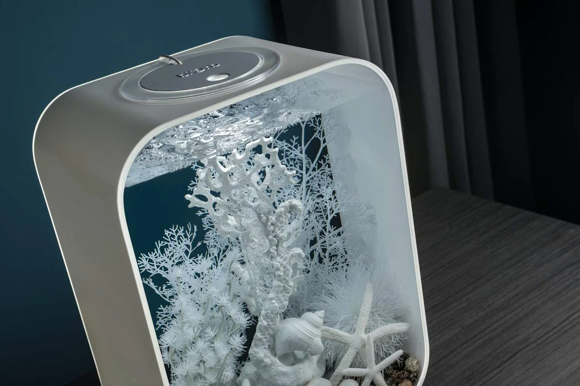 biOrb Ensemble décoratif Songe hivernal