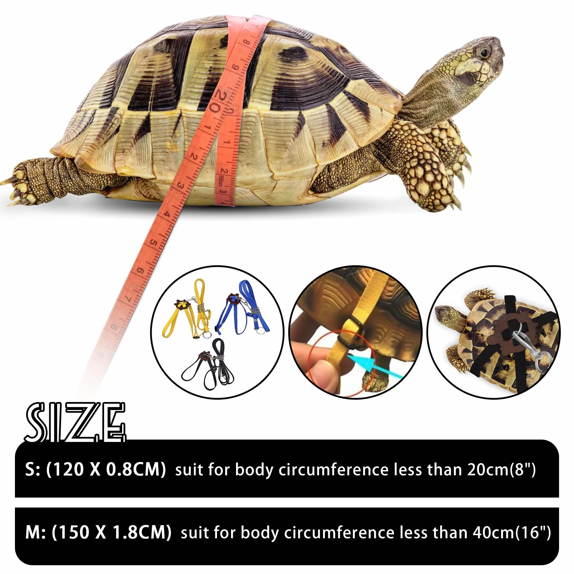 Harnais en Cuir pour Petite Tortue avec Laisse Réglable Noir M