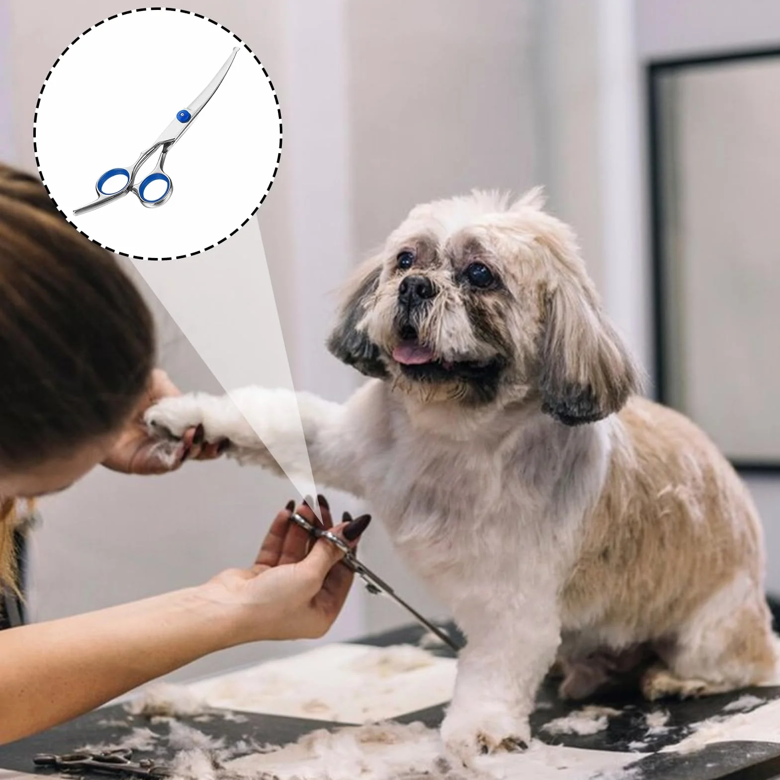 Ciseaux de Toilettage Chien Courbés Professionnels | Idéal pour Finitions Précises Visage et Pattes | Sécurité Maximale avec Pointes Arrondies | Acier Inoxydable 17cm