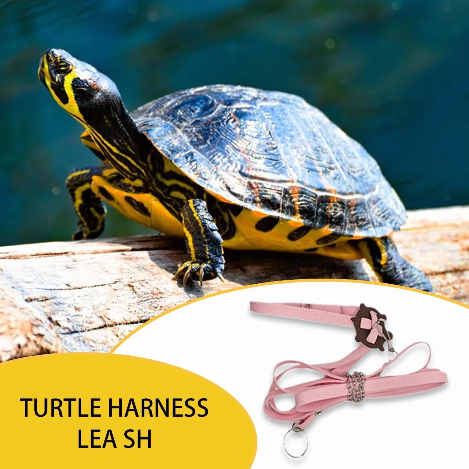 Laisses de Coffre de Tortue, Harnais d'extérieur en Cuir PU - Collier de Poitrine Souple