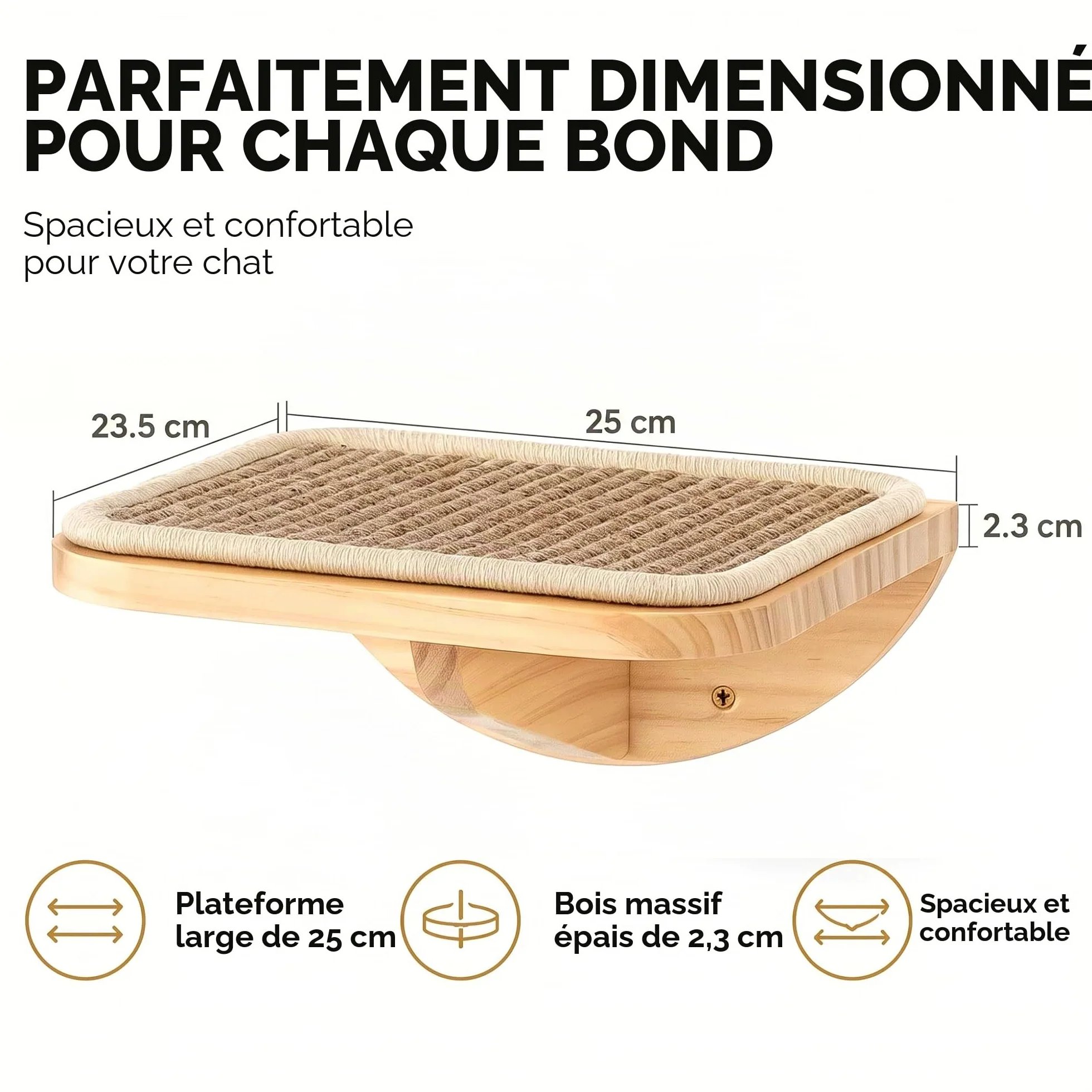 Étagères murales pour chats avec tapis en éponge, arbre d'escalade pour chat avec 2 marches carrées et plateformes incurvées, ensemble de meubles muraux en bois pour chat pour dormir et jouer