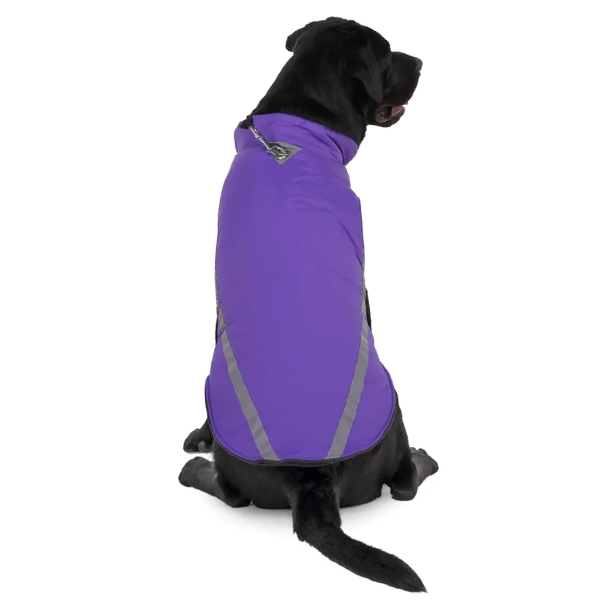 Manteaux de Pluie imperméables pour Chien, imperméable pour Chien, 2 pièces, Harnais d'hiver pour Chien, Gilet pour Animal de Compagnie, Gilet pour Chien Haute