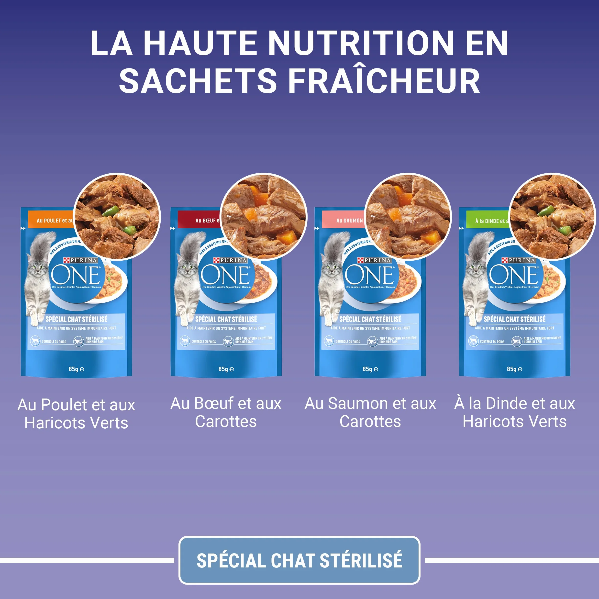 PURINA ONE BIFENSIS Chat Adulte Stérilisé Sachets Fraîcheur Poulet Bœuf Saumon Dinde Lot de 10 (8 x 85g)