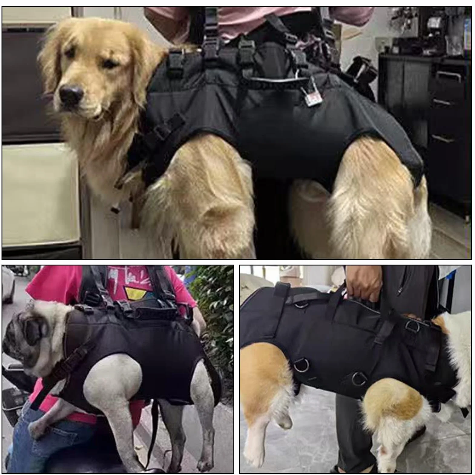 Écharpe de Transport pour Chien Portable Réglable Horizontal pour Voyage Randonnée Vélo