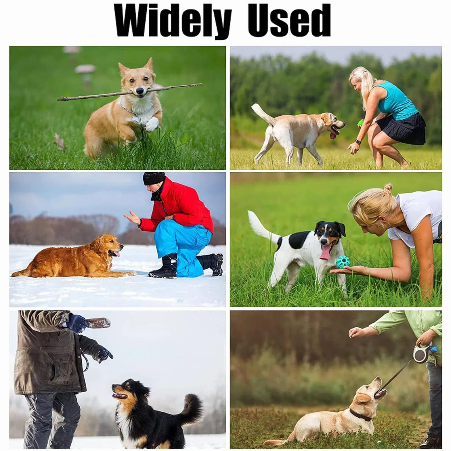Sifflet pour Chien Anti Aboiement Ultrason Professionnel 2 Pièces