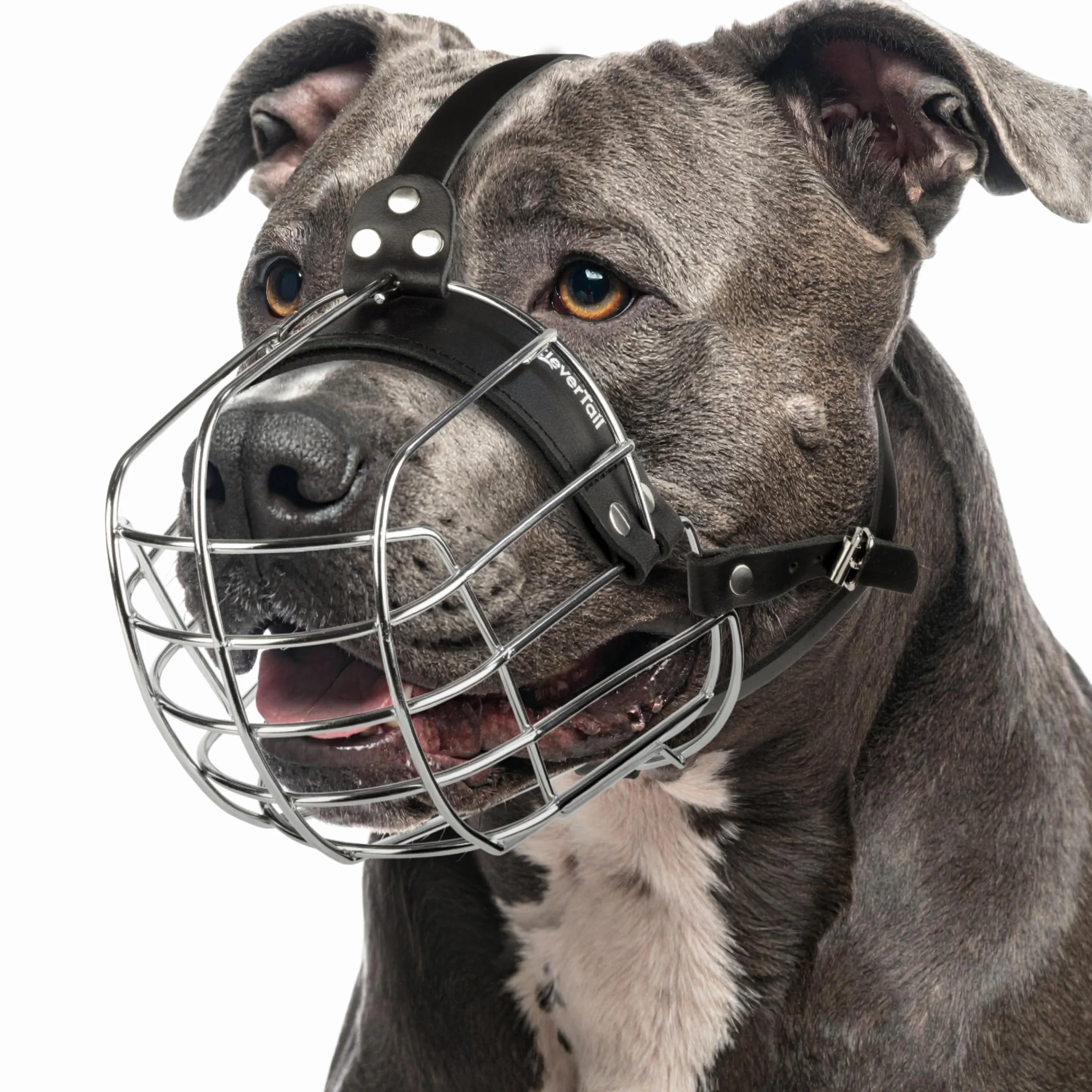 Muselière en métal pour Pitbull de grande taille – Muselière panier pour chiens avec sangles en cuir réglables – Muselière en cage en acier pour chiens pour éviter les morsures