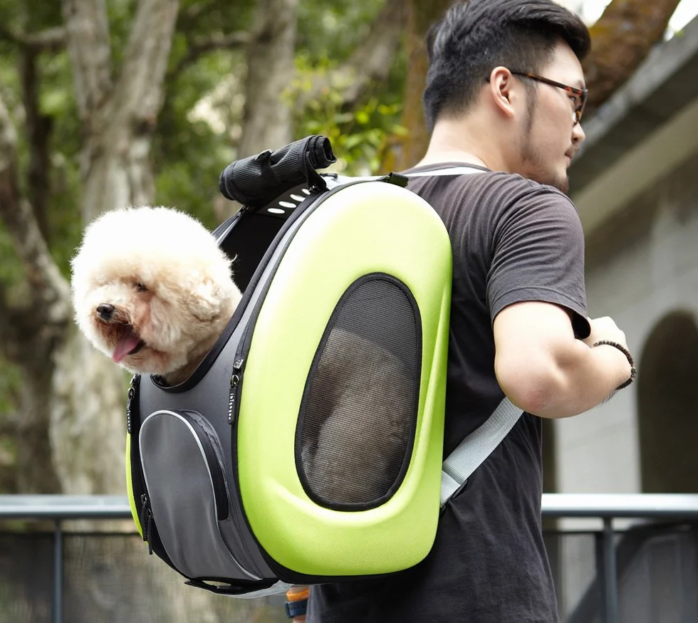 Ibiyaya Poussette pour Animal Domestique Multifonction 5 en 1 Marron