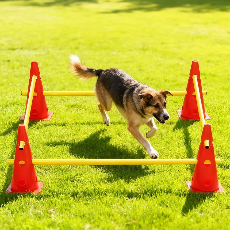 Haies d'Entraînement Agilité pour Chien, Saut Obstacle 8 Cônes 32cm + 4 Barres 80cm