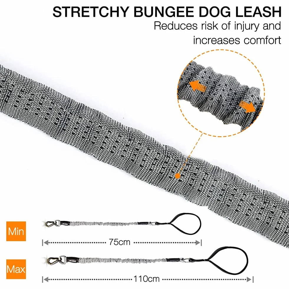 Laisse Chien Élastique Nylon Anti Traction Grande Taille avec Poignée Rembourrée