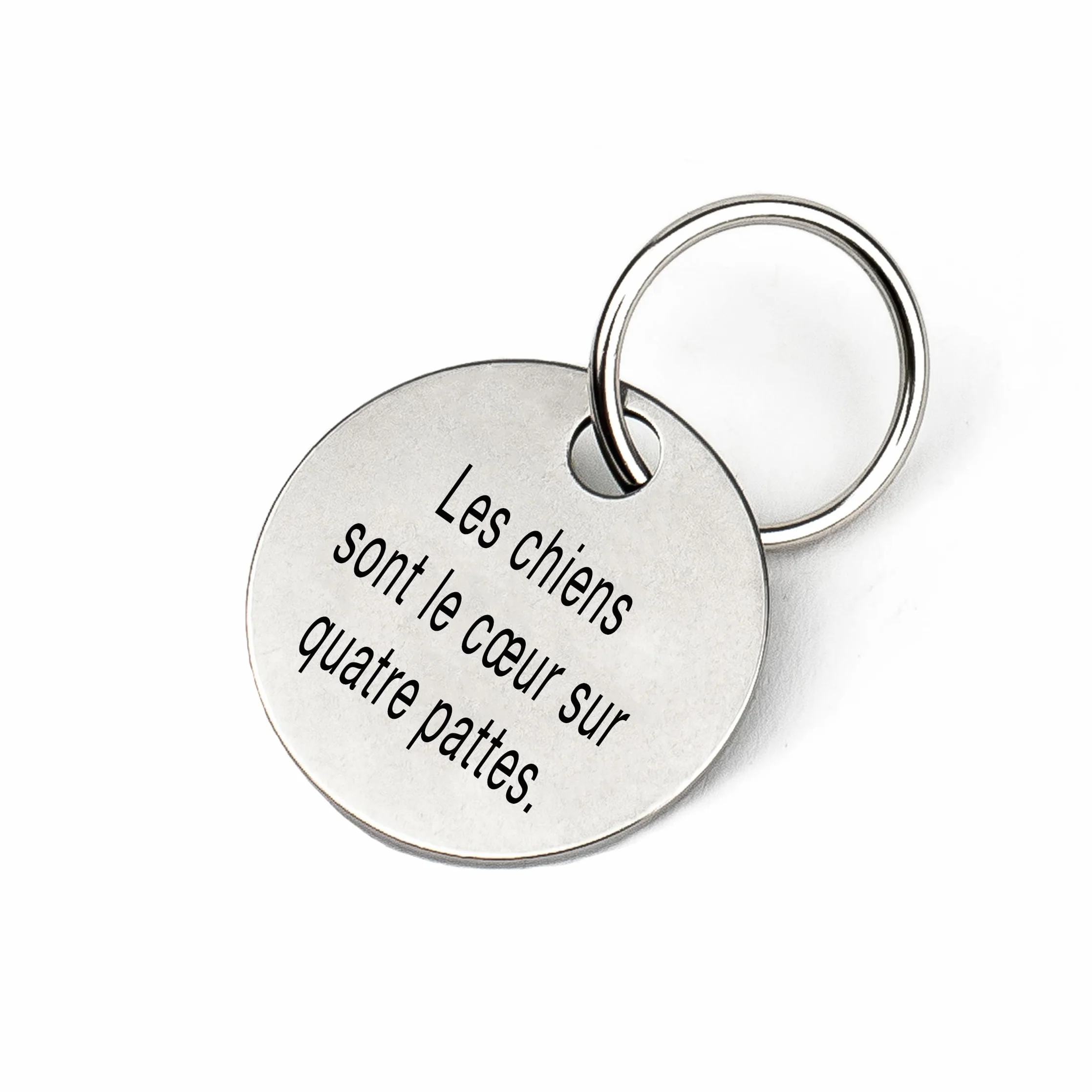 Médaille d’identification personnalisée pour chien en acier inoxydable avec gravure du nom, numéro de téléphone, adresse et date – pour Noël et anniversaire