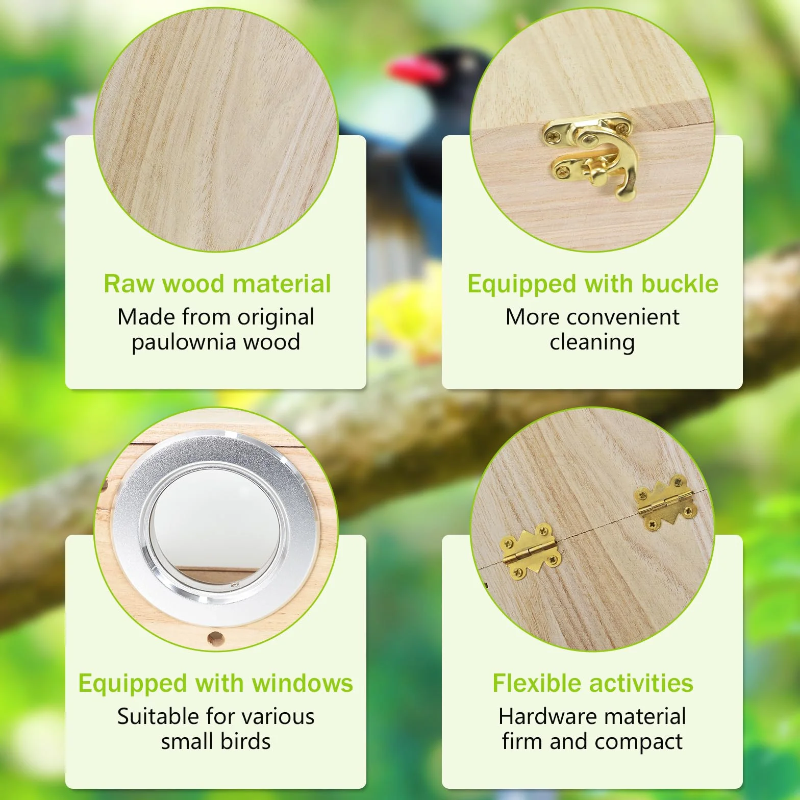 Nichoir transparent en bois naturel pour perruches, inséparables et pinsons