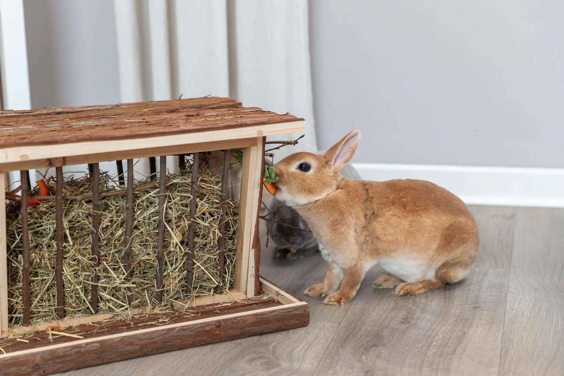 Trixie Râtelier à Foin à Poser 40x22x30 cm Fond Bois Toit Rabattable pour Cochons d'Inde Lapins