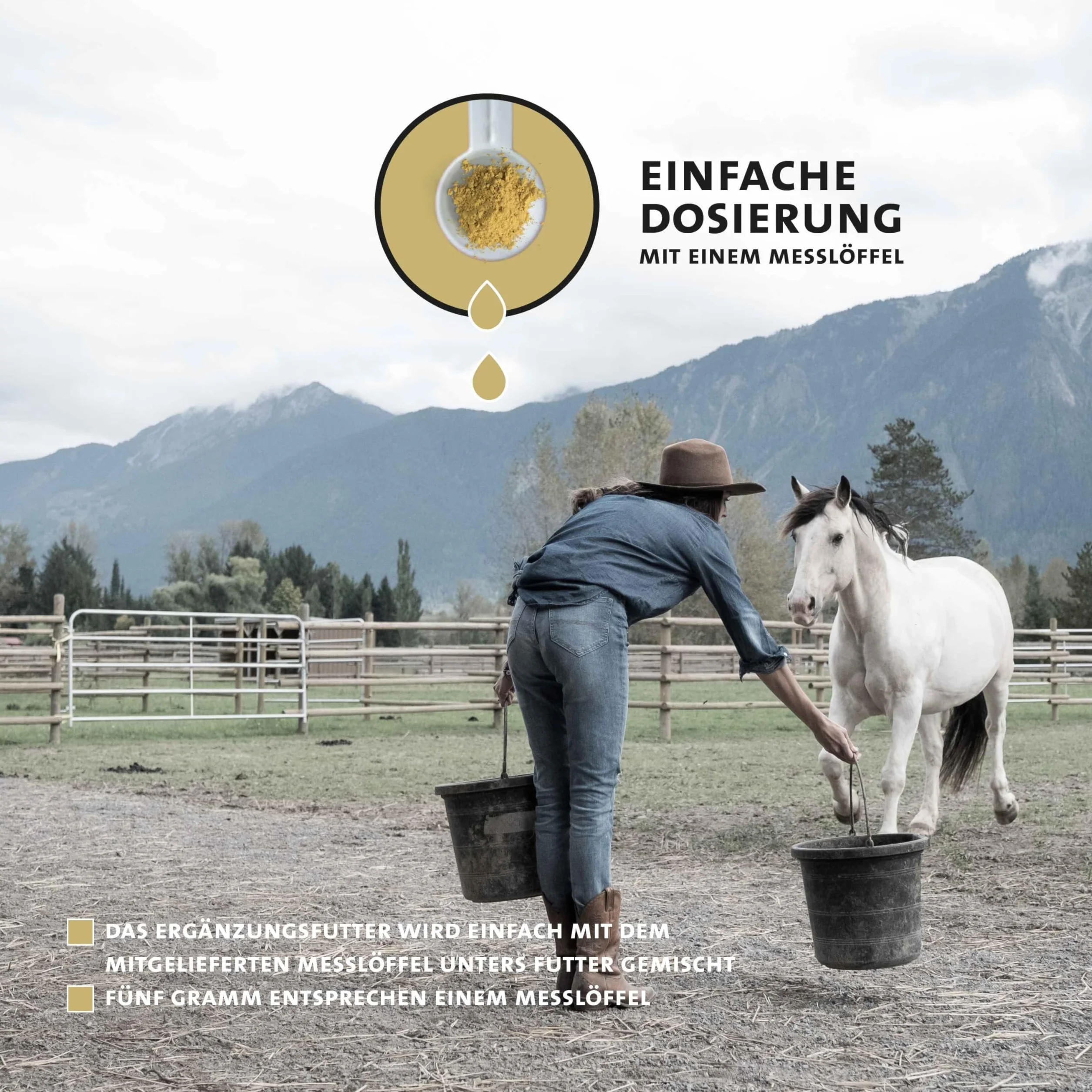 Peticare Poudre Immunité & Vitalité pour Chevaux avec Ginseng, échinacée & polyphénols Complément Naturel