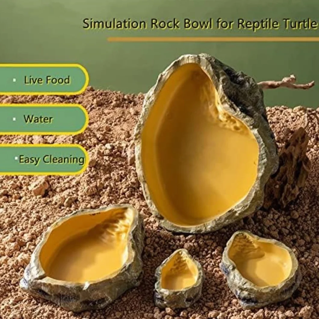 Bol à Eau pour Terrarium Tortues Reptiles Serpent Gecko