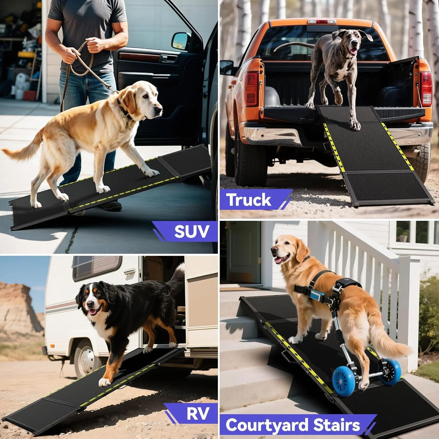 Rampe pour chien de 170,7 cm de long et 50,8 cm de large pour voiture – Rampe portable extra large pour chiens de taille moyenne et grande avec surface de tapis antidérapante, escalier pour voiture