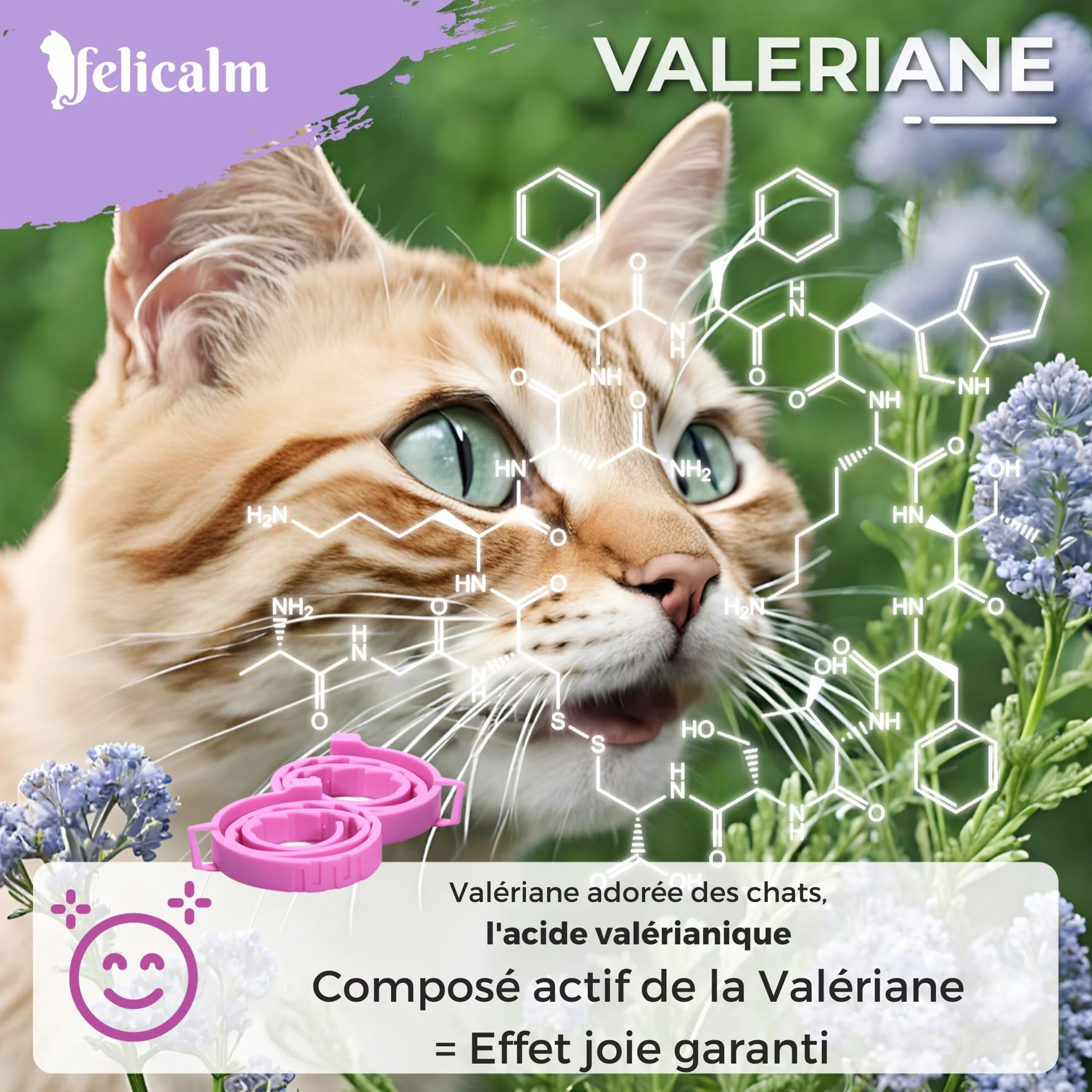 Félicalm Paris Colliers Anti-Stress Chat Chaton 2 Pièces 60 Jours Valériane Phéromone Camomille Lavande