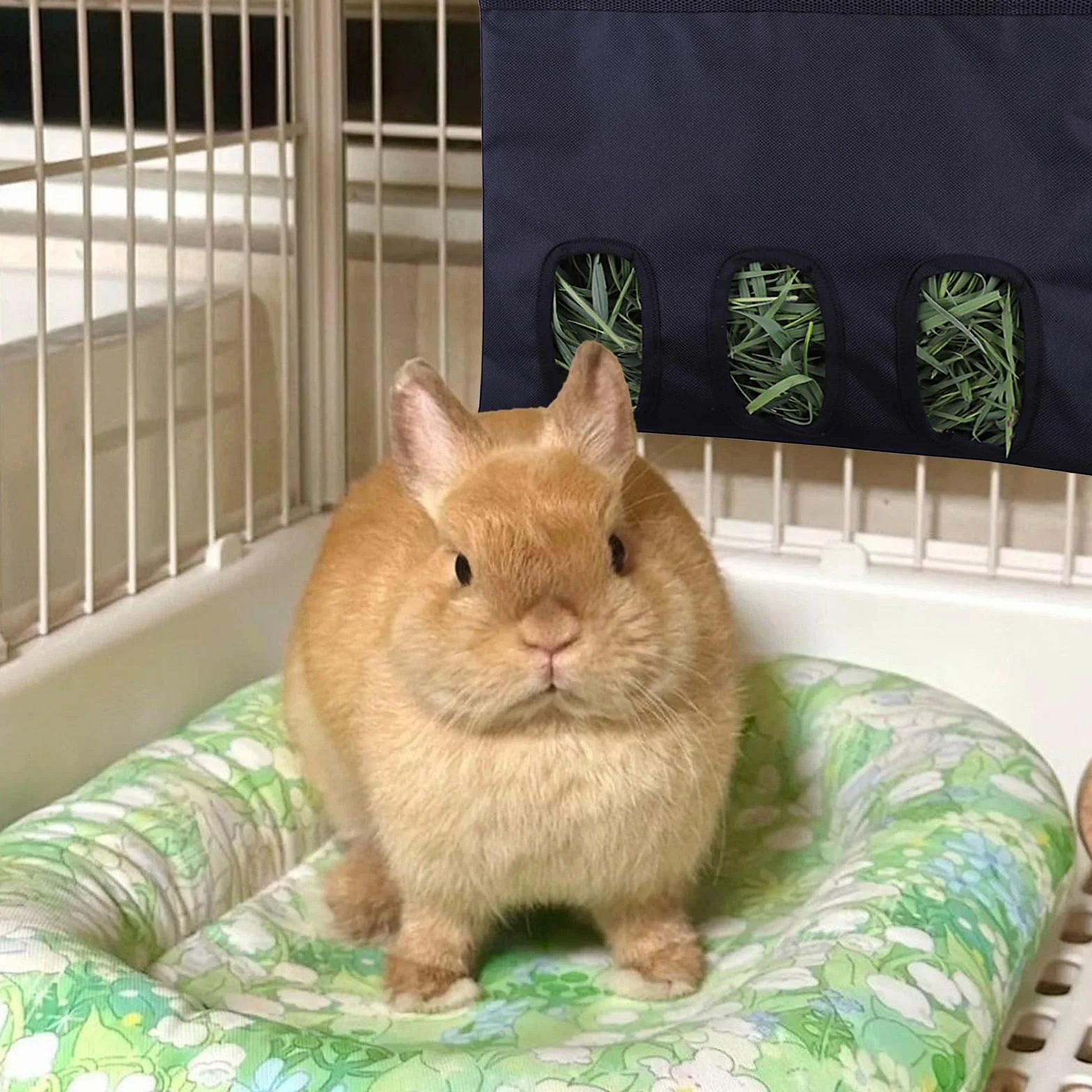 Mangeoire à Foin pour Lapin, Cochon d'Inde, Hamster - Sac de Rangement Lavable Suspendu Automatique (3 Ouvertures)