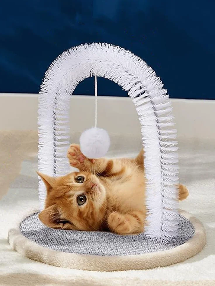 Brosse à poils de visage pour chat, gratte-dos, masseur durable pour chatons
