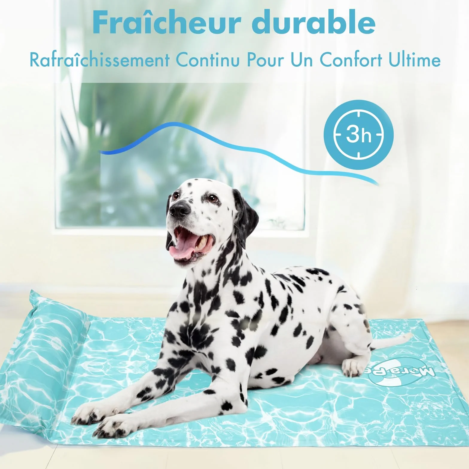 Pawtasy Tapis Rafraîchissant pour Chien XL 100x60 cm, Gel Auto-Rafraîchissant, Étanche