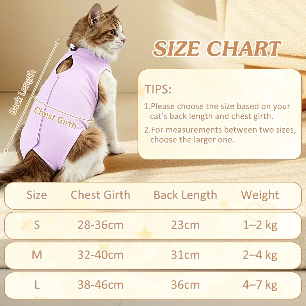 OFFCUP Gilet de Récupération Chat 2 PCS Protection Léchage Plaies Abdominales Violet