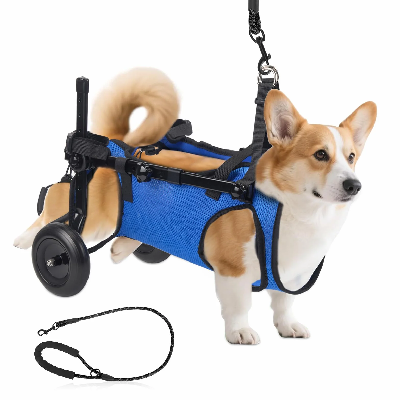 Fauteuil roulant réglable pour petits animaux de compagnie - Support jambe arrière pliable avec roues - Taille M