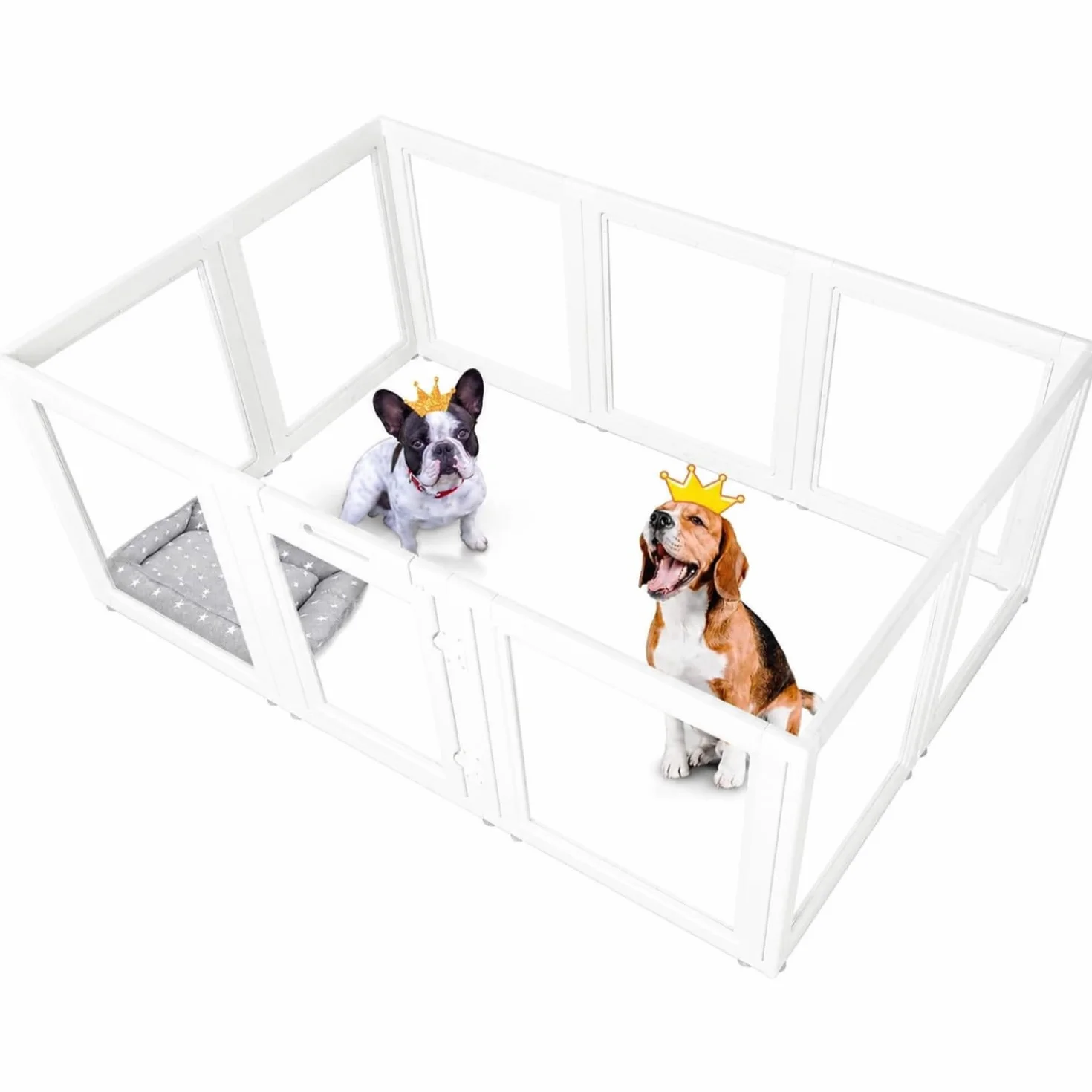 Everfront Enclos d'intérieur en Acrylique Transparent pour Chiot, Chat, Lapin, Furet, 77 cm de Hauteur, 10 pièces