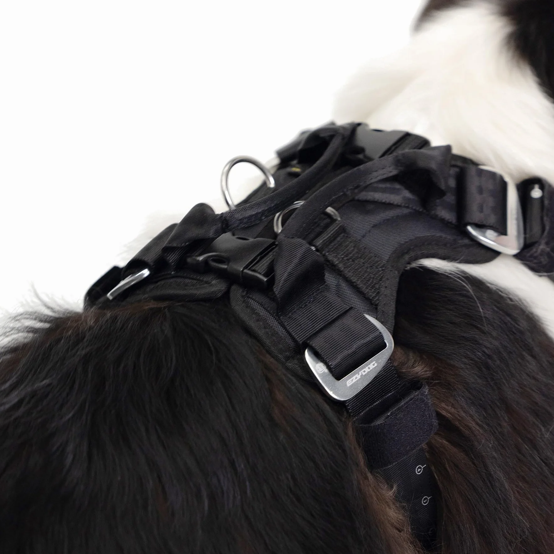 EzyDog Harnais de sécurité Drive pour Chien – Harnais Voiture testé en Crash-Test, Ajustable (L, Noir)