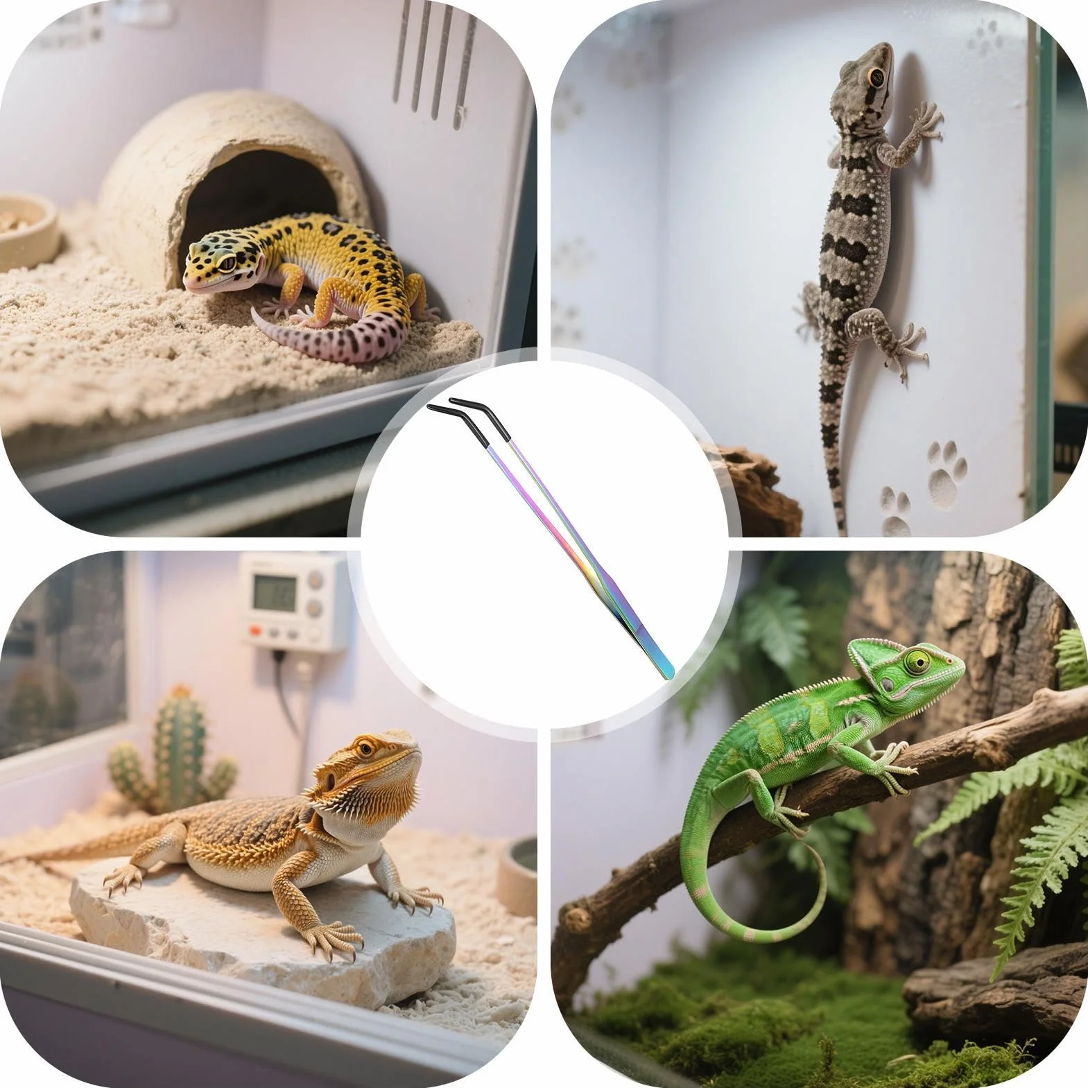 Pinces de Nourrissage Droites et Courbes Tête en Silicone Antidérapante pour Reptiles Aquatiques