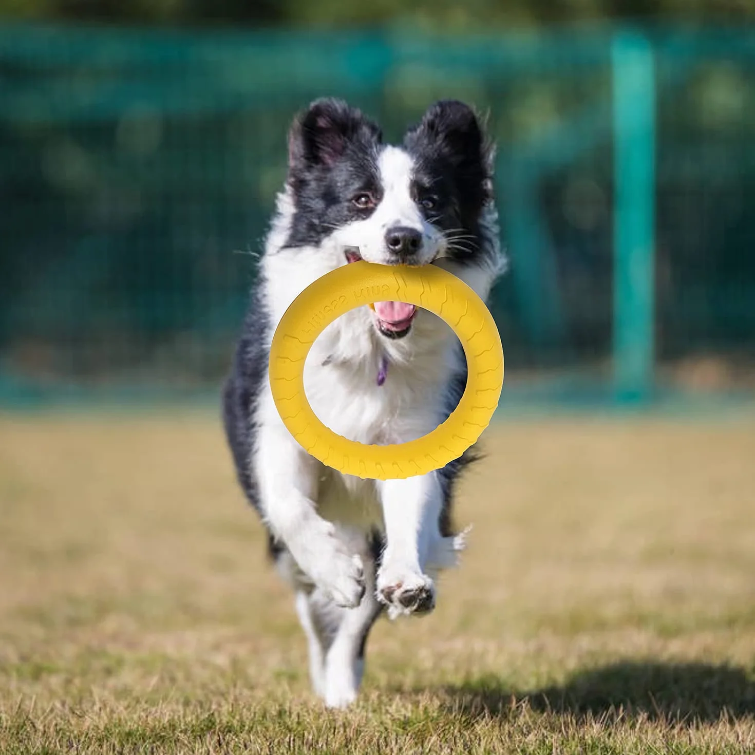Anneau de Fitness Pour Chien, Anneau de Morsure de Chien, équipement d'exercice d'agilité pour chien, anneau d'entraînement interactif au tir à la corde pour petits et grands chiens (Jaune, Grande)