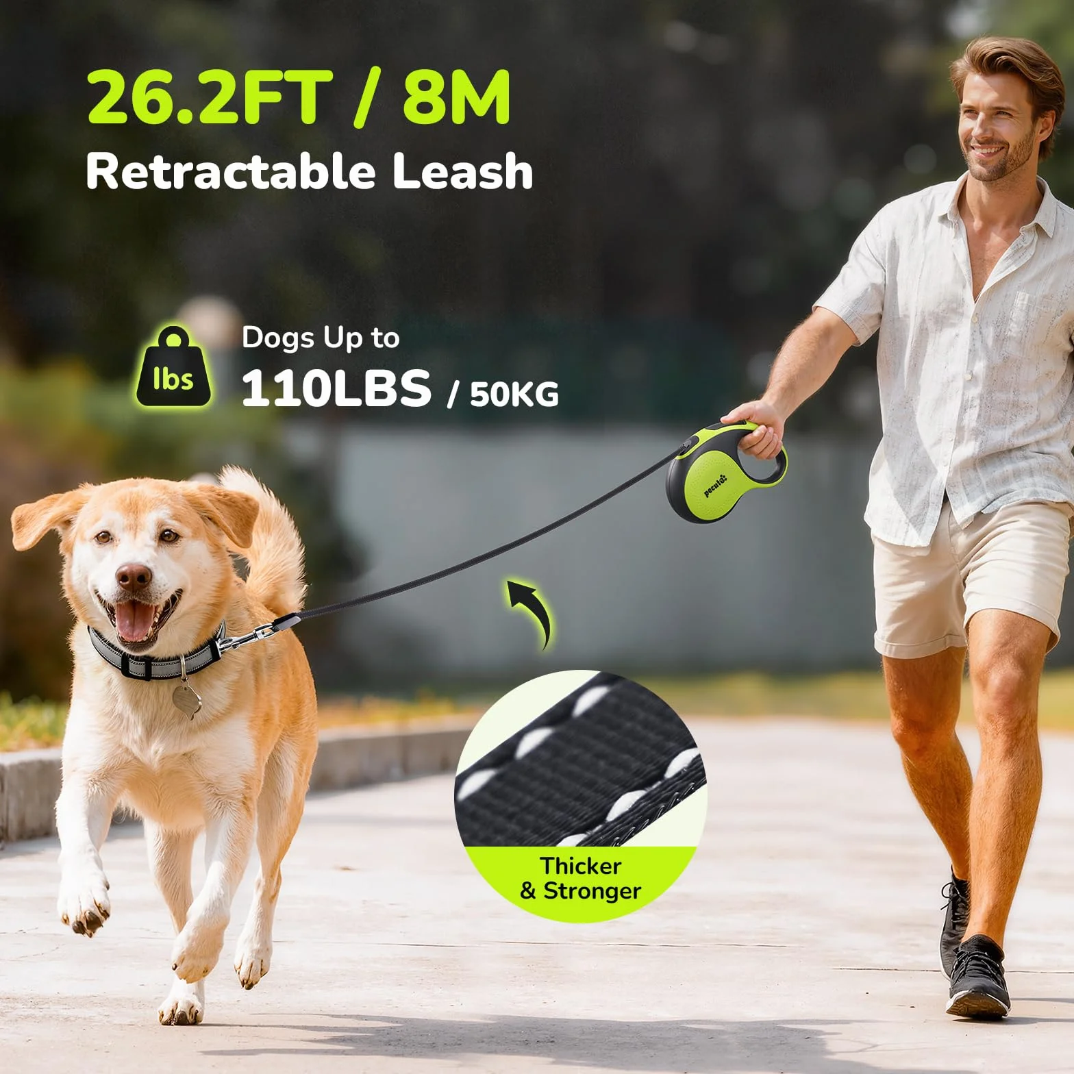 Pecute Laisse Chien Enrouleur 8m Rétractable pour Chiens jusqu'à 30Kg Ruban Nylon Réfléchissant