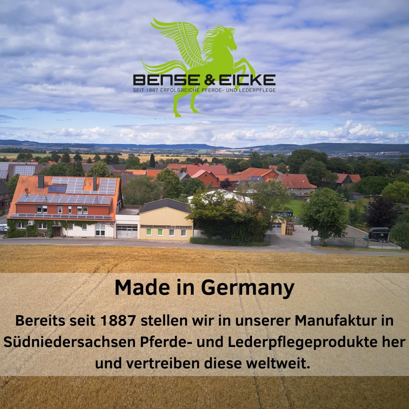 Bense & Eicke Hufteer Goudron de bois de hêtre 1 kg pour l'entretien des sabots, protection contre l'humidité, la saleté et les bactéries, fabriqué en Allemagne