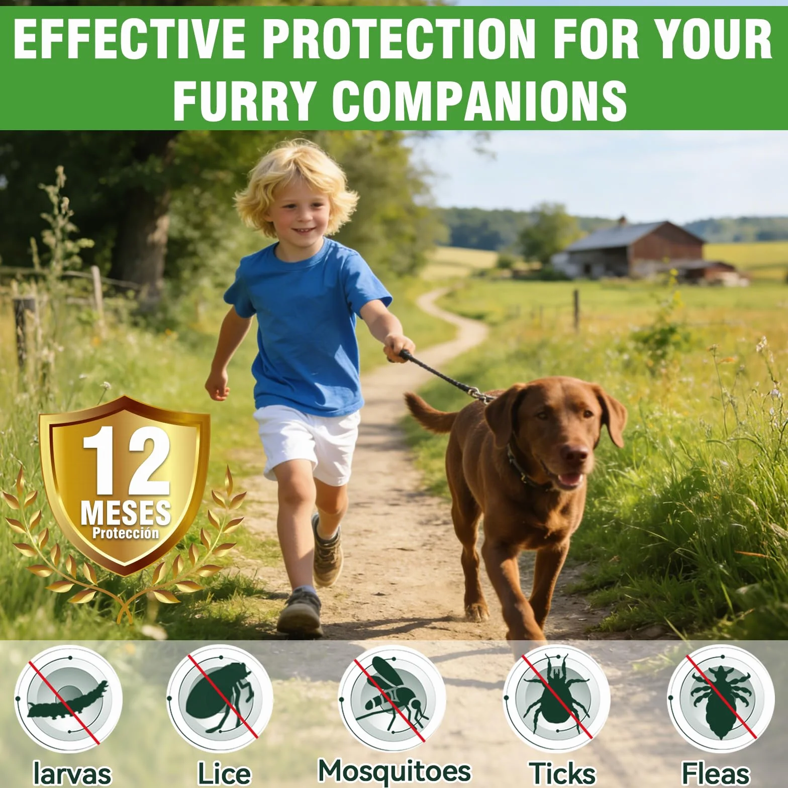 Collier Anti Puces pour Chien Naturel, Ajustable, Doux, Protection 12 Mois, Imperméable, 2 Pack