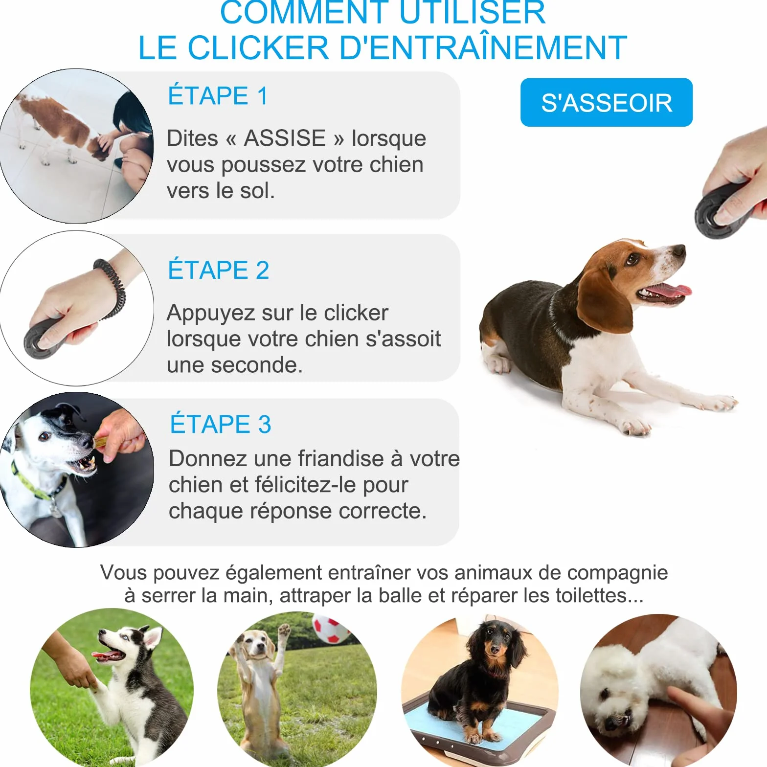 Clickers pour Chien Clicker Training avec Dragonne élastique et Grand Bouton, Lot de 2, Noir et Cyan