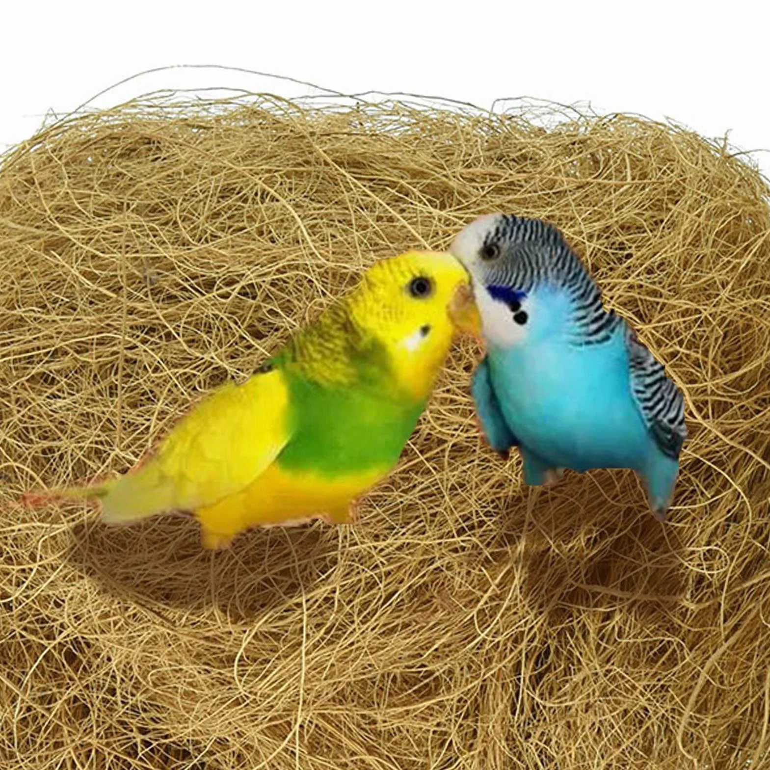 Fulenyi Fibre De Coco 100g Literie Confortable pour Petits Oiseaux, Matériau de Doublure pour Nid